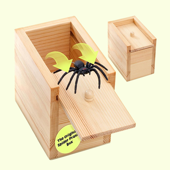 The Spider Prank Box